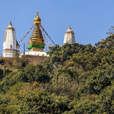 House Of Forrest, Service Apartments Katmandu Eksteriør billede