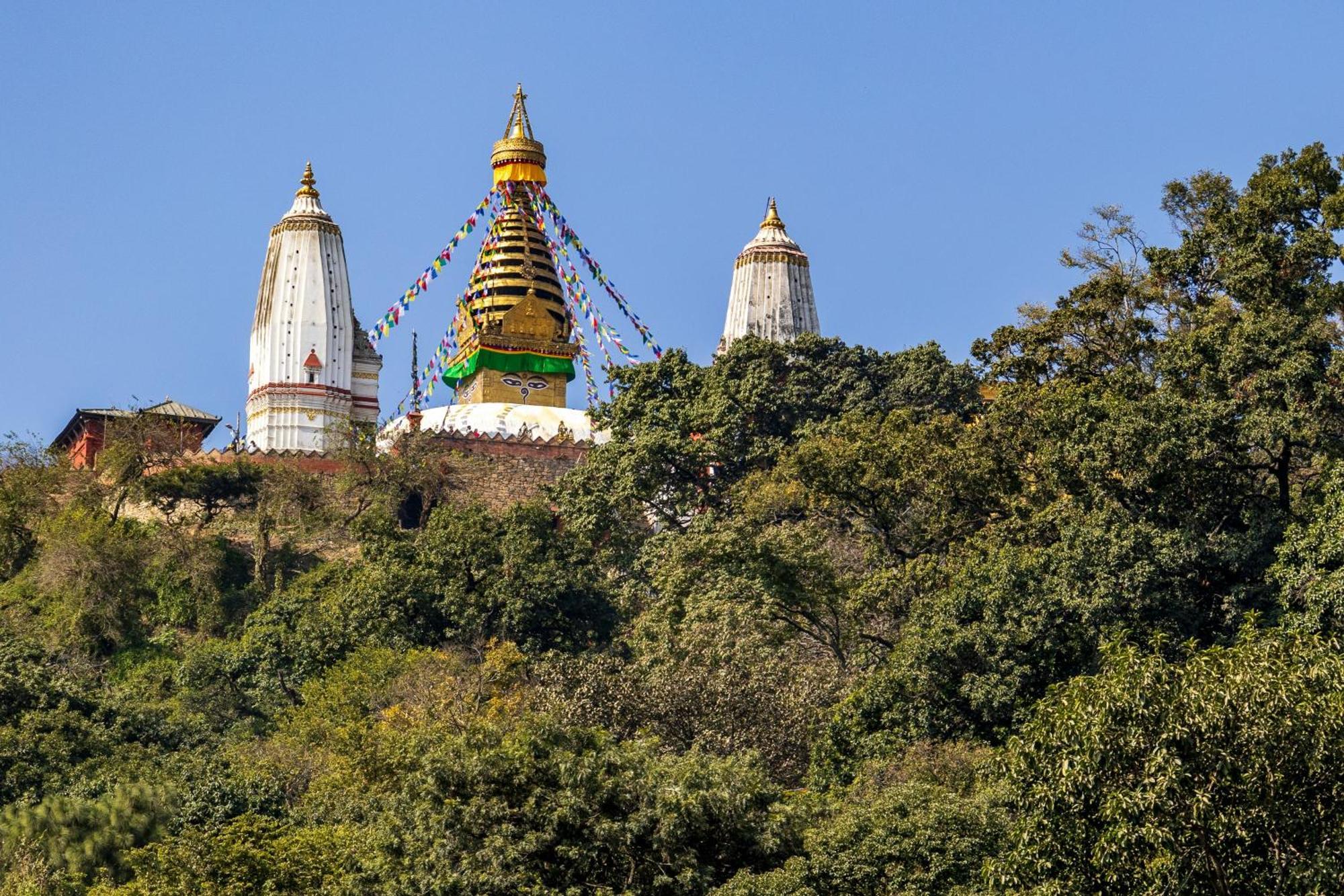House Of Forrest, Service Apartments Katmandu Eksteriør billede